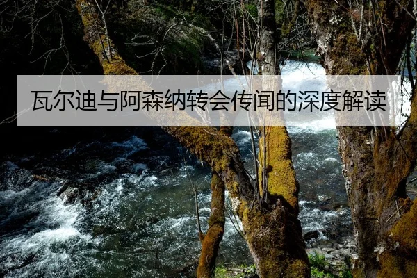瓦尔迪与阿森纳转会传闻的深度解读