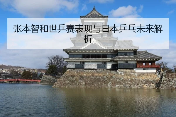 张本智和世乒赛表现与日本乒乓未来解析
