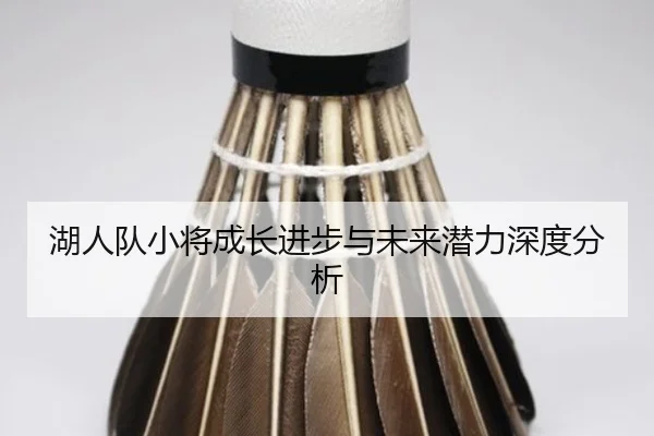 湖人队小将成长进步与未来潜力深度分析